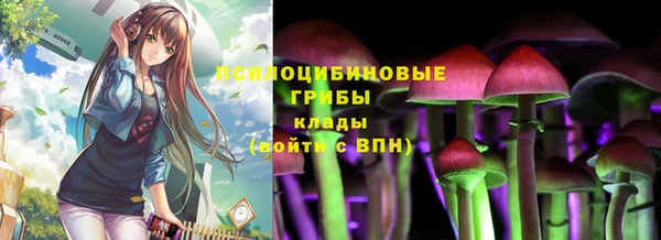 a pvp Алексин