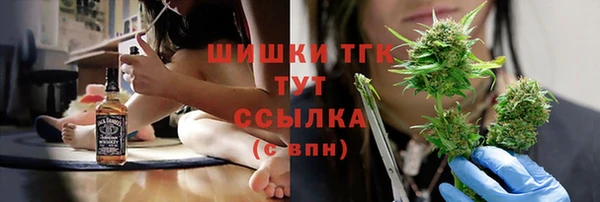 крисы Абаза