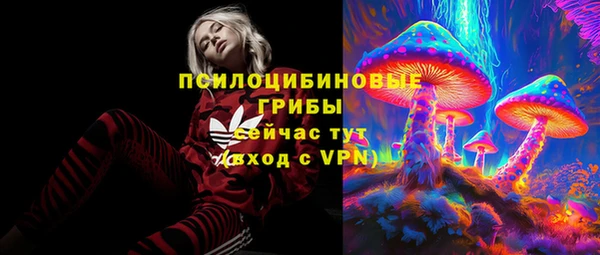 хмурый Приозерск
