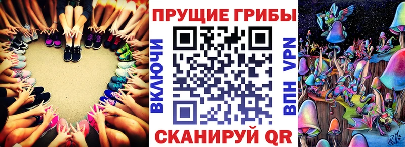 Псилоцибиновые грибы мухоморы  наркошоп  ОМГ ОМГ ТОР  Луга 